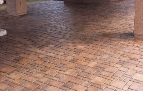 This image shows pavers that was newly stained.