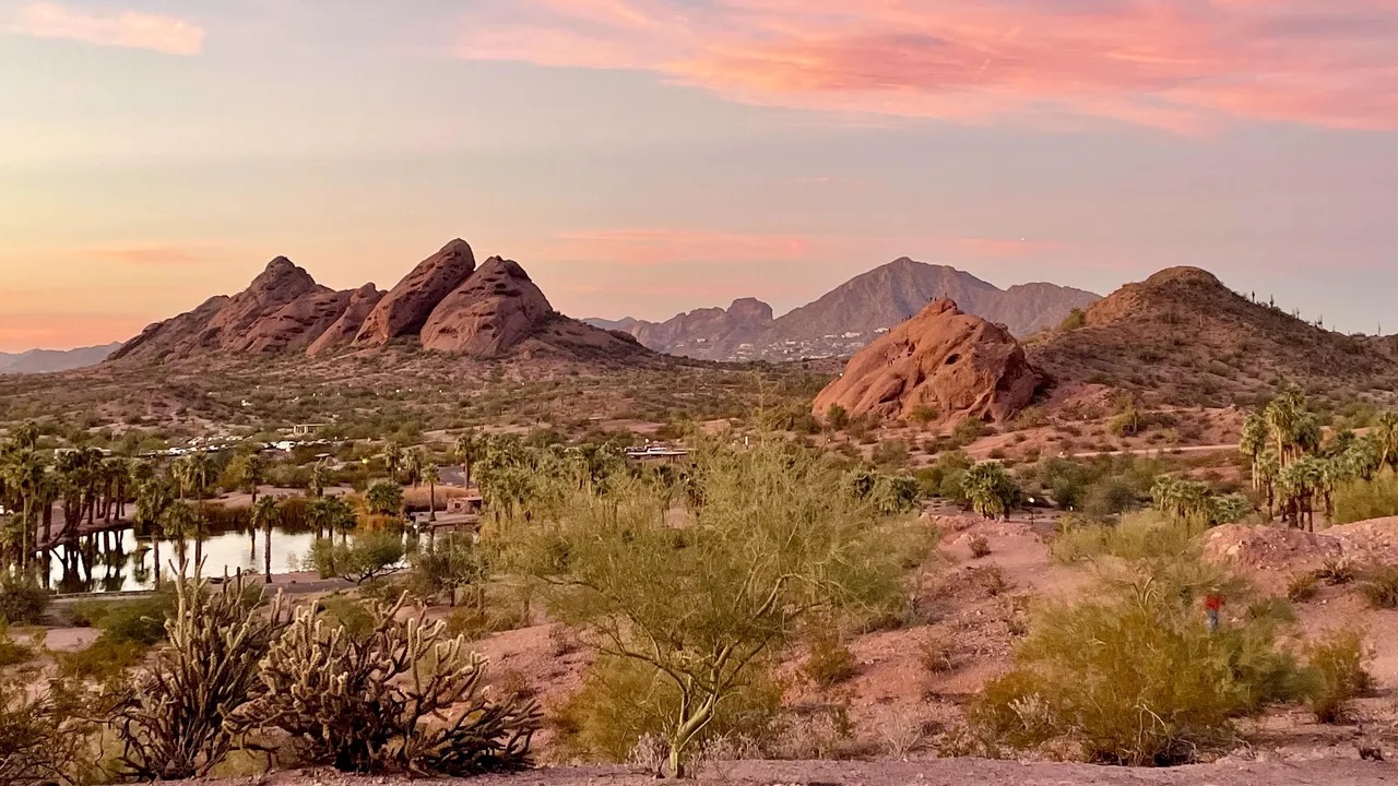 8. Phoenix